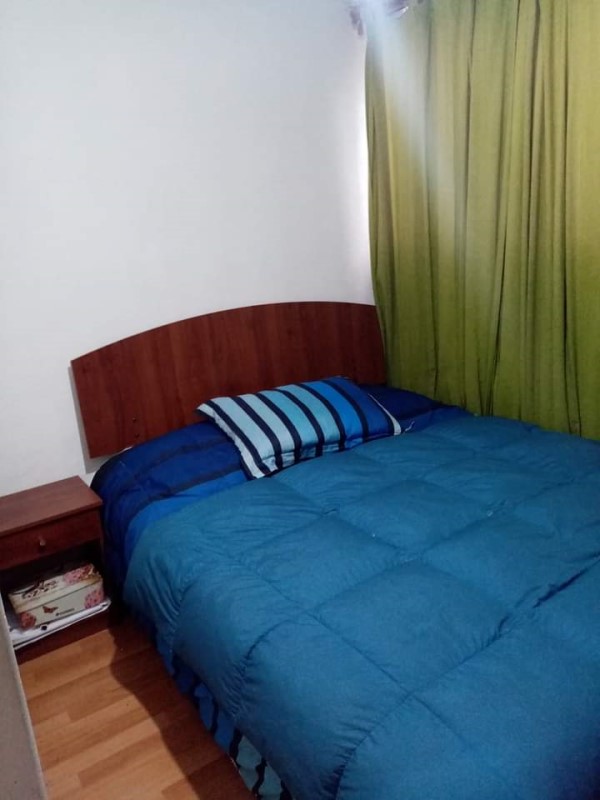 Miniatura 14