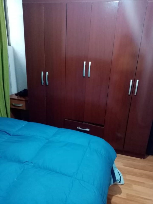 Miniatura 15