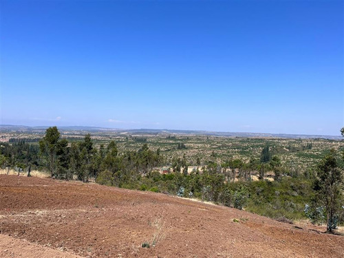 Imagen de Venta Parcela en Litueche - PARCELA EN VENTA EN LITUECHE, SEXTA REGIÓN - 5000 m² (Cod. 1445)
