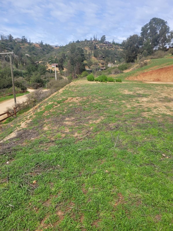 Imagen de Venta Parcela en Casablanca - PARCELA EN CONDOMINIO HACIENDA EL PANGAL - 5000 m² (Cod. 17507)