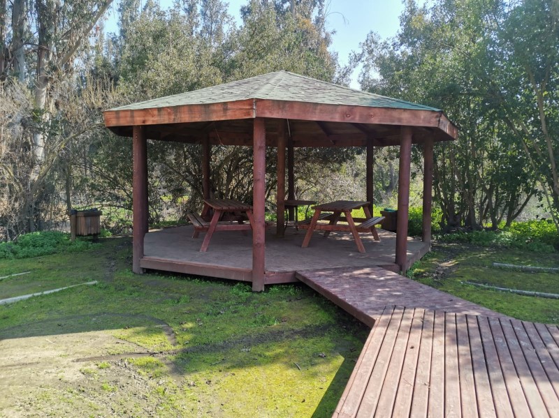 Miniatura 21