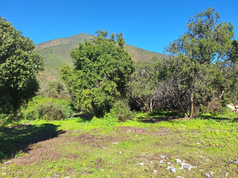 Imagen de Venta Parcela en Olmué - FUNDO OJOS BUENOS - 25 m² - 1D - 1B (Cod. 19023)