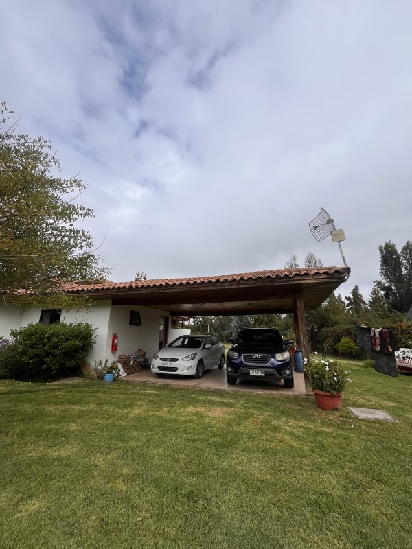 Miniatura 26