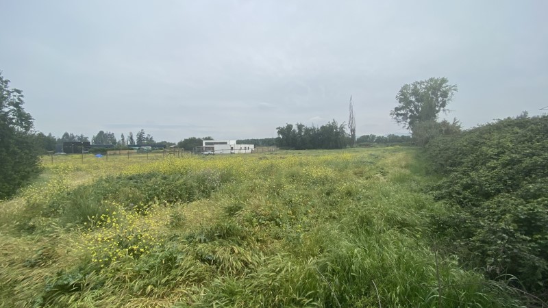 Imagen de Venta Parcela en Talagante - CAMINO CARAMPAGUE 1601 - 5 m² (Cod. 24657)