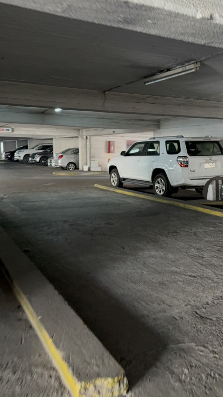 Miniatura 13