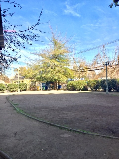 Miniatura 12
