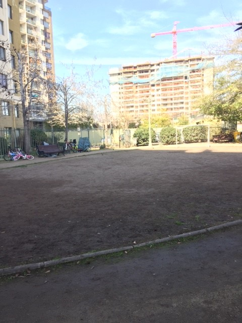 Miniatura 13