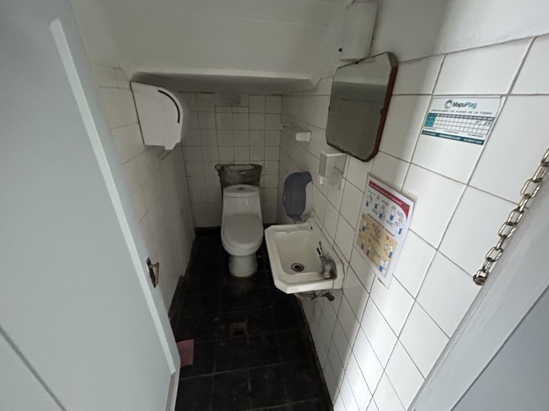 Miniatura 15