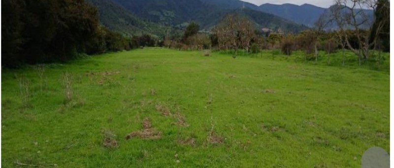 Imagen de Venta Parcela en La Ligua - CHACARILLAS - 23000 m² (Cod. 31395)