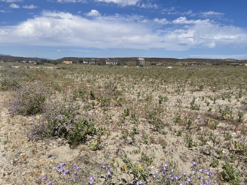Imagen de Venta Parcela en Coquimbo - PARCELAS ROL PROPIO SIN PAGO DE COMISIÓN PLAYA DE TONGOY!! - 5000 m² (Cod. 3157)