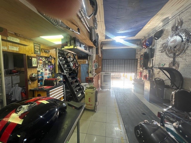 Miniatura 13