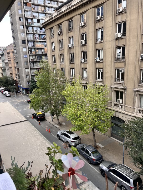 Miniatura 13
