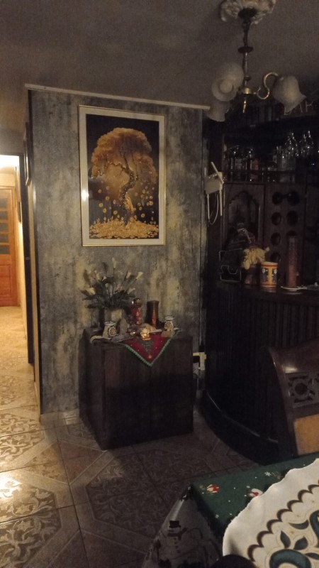 Miniatura 9