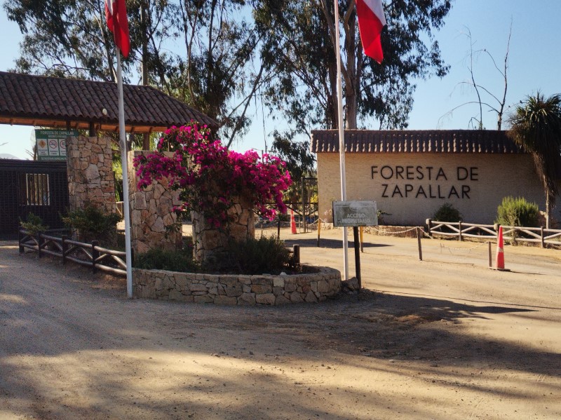 Imagen de Venta Parcela en Zapallar - LA FORESTA DE ZAPALLAR - 175 m² - 4D - 2B (Cod. 32769)