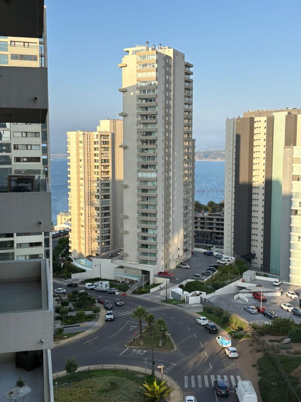 Miniatura 12