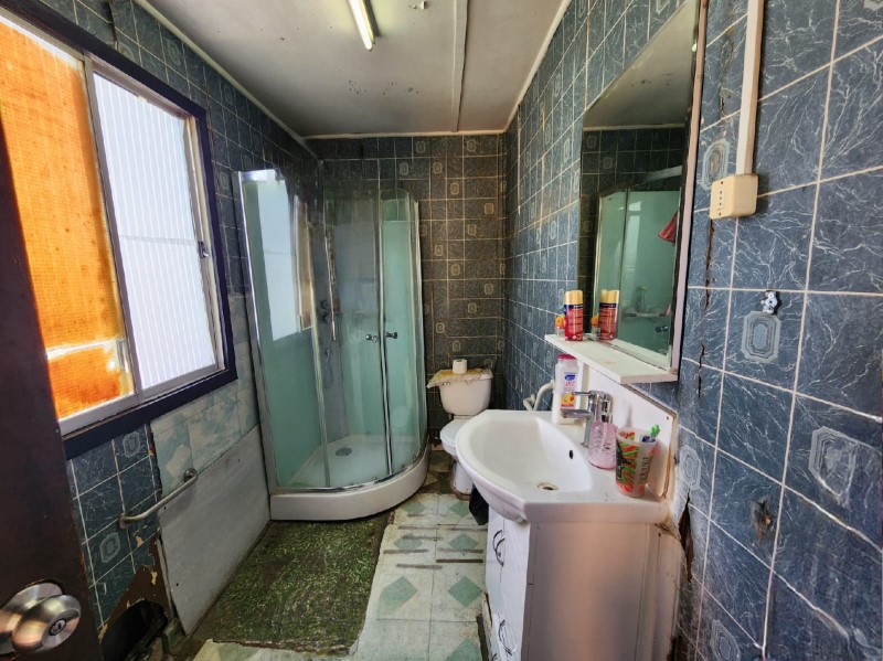 Miniatura 13