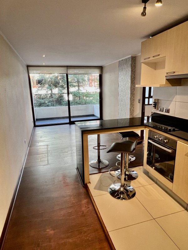Imagen de Venta Departamento en Providencia - DP 1D / MARCEL DUHAUT / LAS LILAS / PROVIDENCIA - 43 m² - 1D - 1B (Cod. 34029)