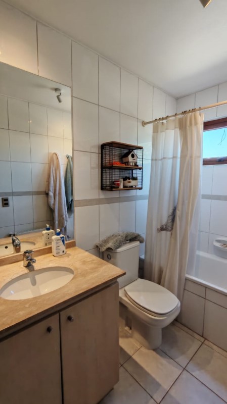 Miniatura 13