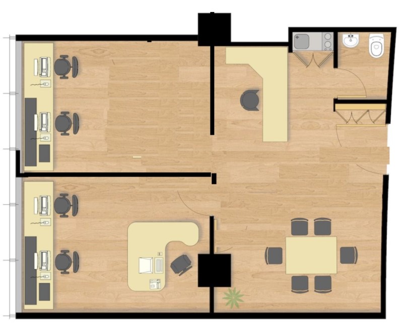 Miniatura 11
