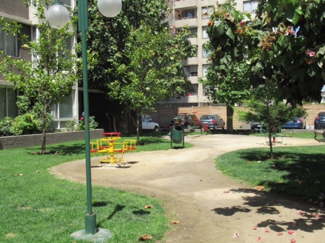 Miniatura 13