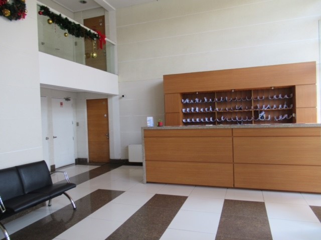 Miniatura 14