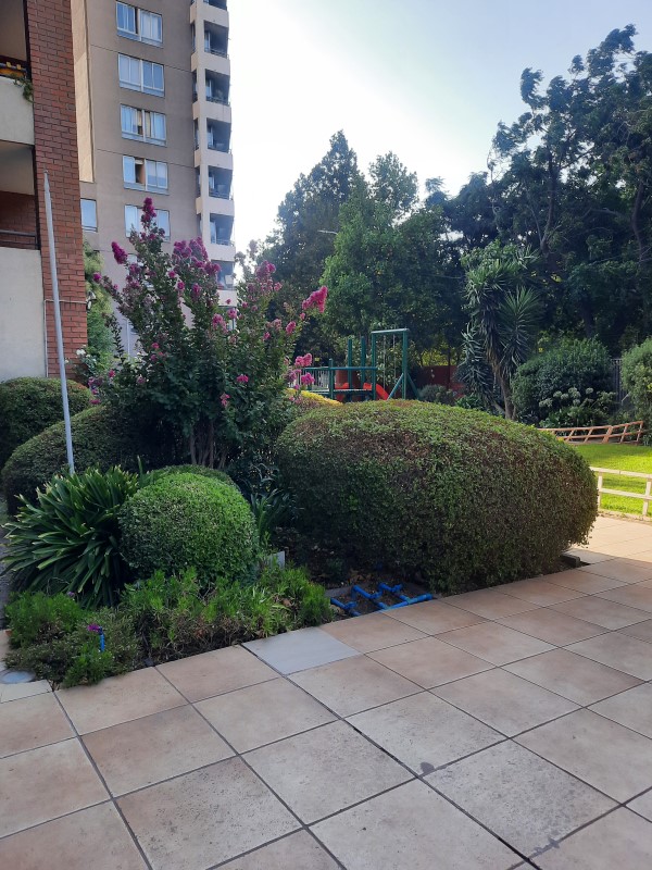 Imagen de Venta Departamento en Santiago - RICARDO CUMMNING - 55 m² - 2D - 2B (Cod. 35965)