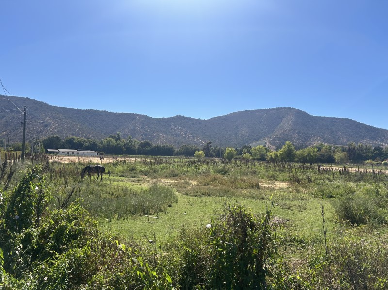 Imagen de Venta Parcela en Melipilla - FUNDO SAN MANUEL - 5037 m² (Cod. 36298)