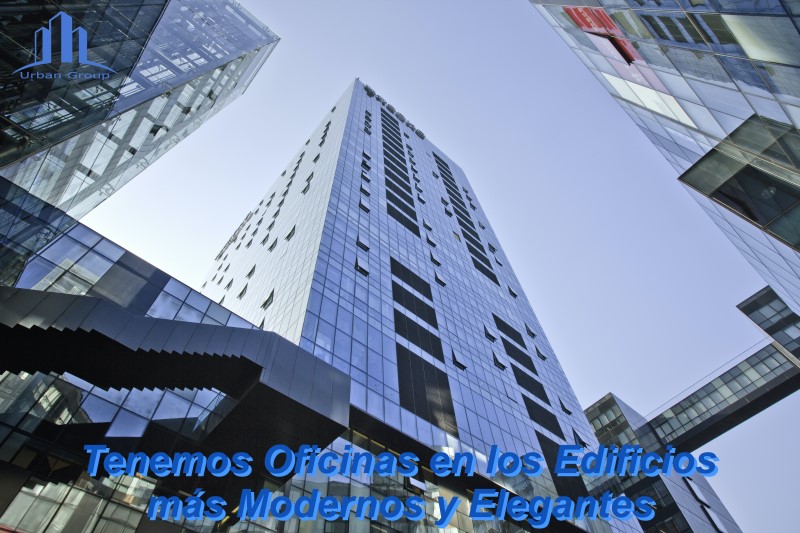Miniatura 19
