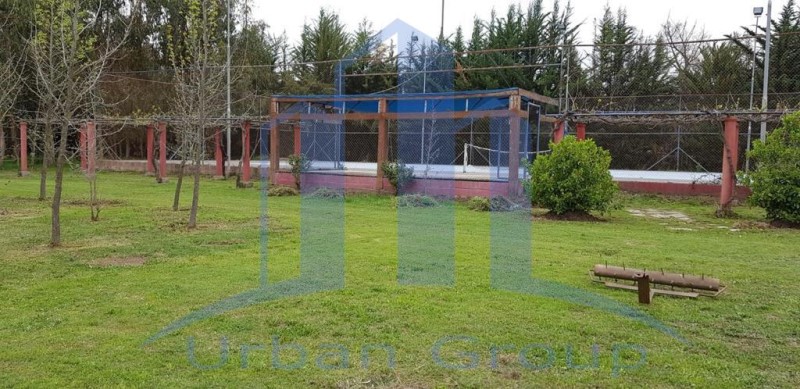 Imagen de Venta Parcela en Buin - SECTOR LA OBRA - BUIN - 10000 m² (Cod. 37115)