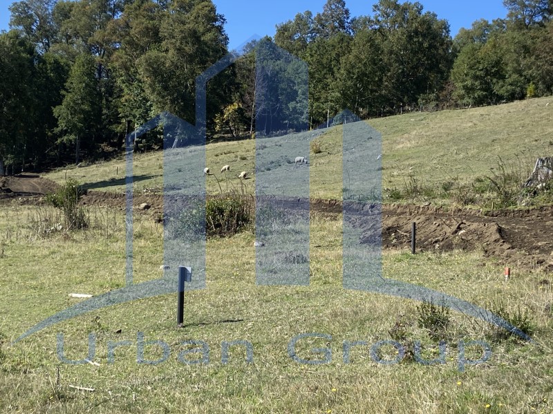 Imagen de Venta Parcela en Panguipulli - LAGO CALAFQUEN - CERRO PITREN - A 10 MIN PANGUIPULLI - 5000 m² (Cod. 37116)