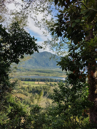 Imagen de Venta Parcela en Lago Ranco - PARCELA EN VENTA EN LAGO RANCO CALIDAD INDIGENA - 60 m² - 2D - 1B (Cod. 37454)