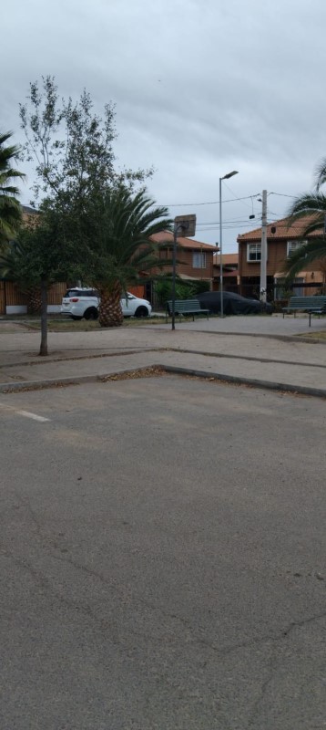 Miniatura 10
