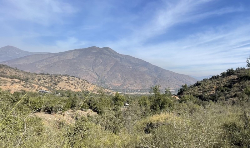 Imagen de Venta Parcela en Olmué - SECTOR OJOS BUENOS - 5000 m² (Cod. 37665)