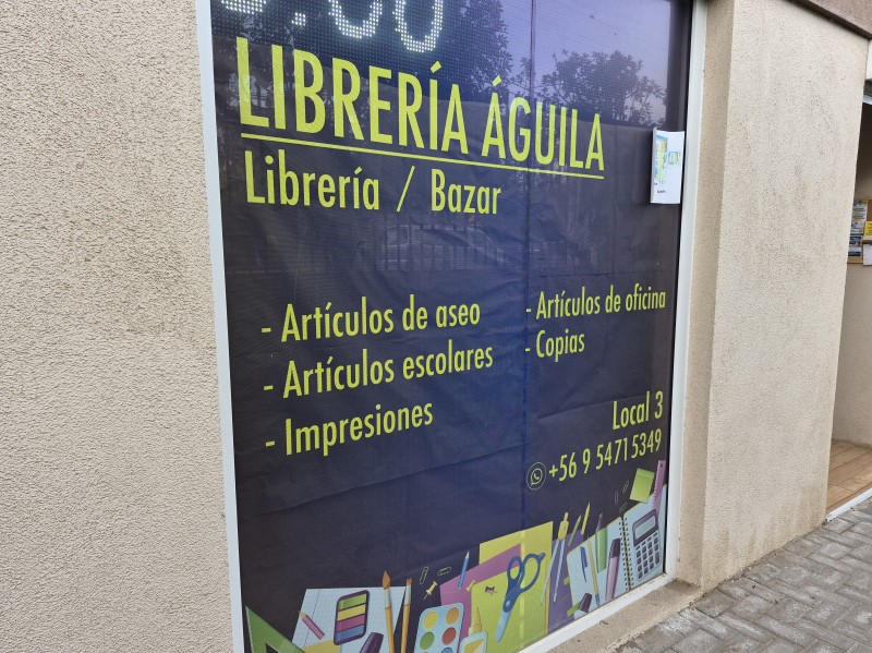 Miniatura 13