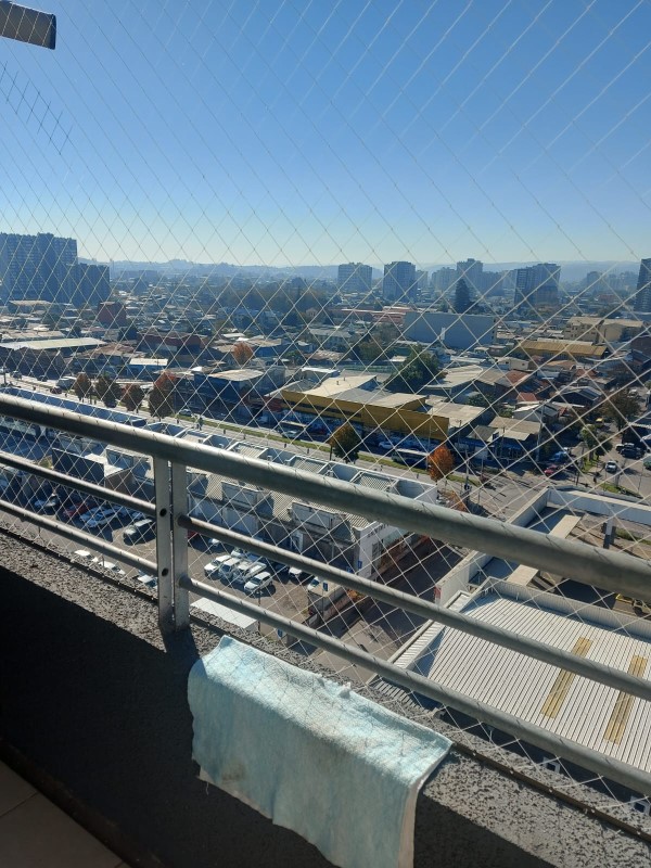 Miniatura 19