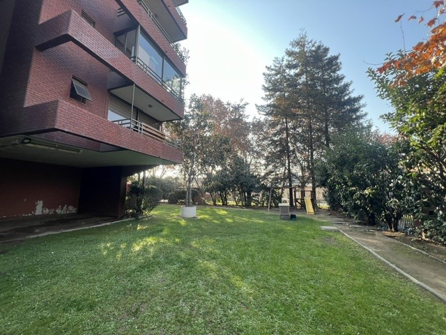 Miniatura 21
