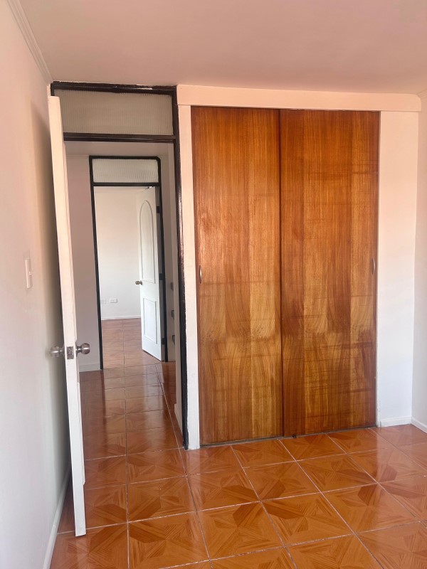 Miniatura 12