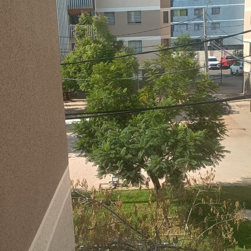 Miniatura 14
