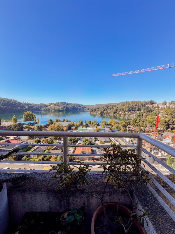 Miniatura 12