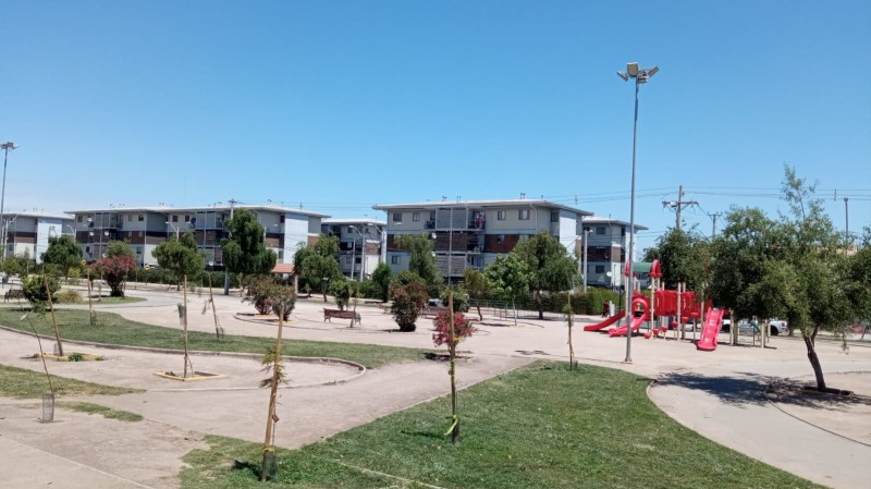 Miniatura 12