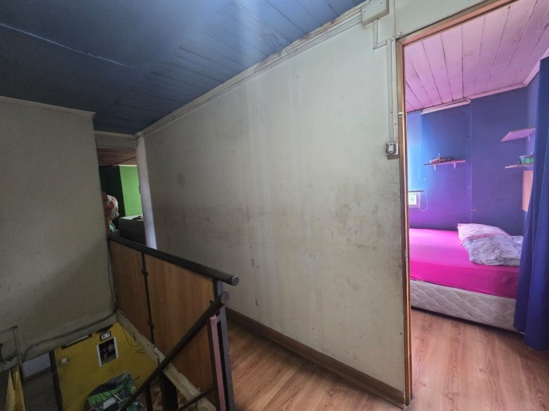 Miniatura 13