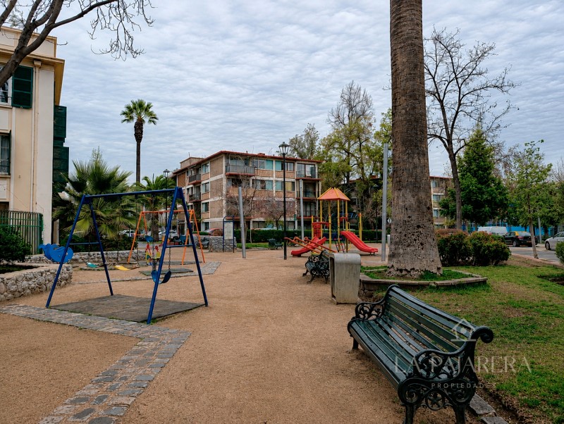 Miniatura 24