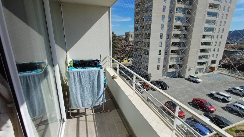 Miniatura 8