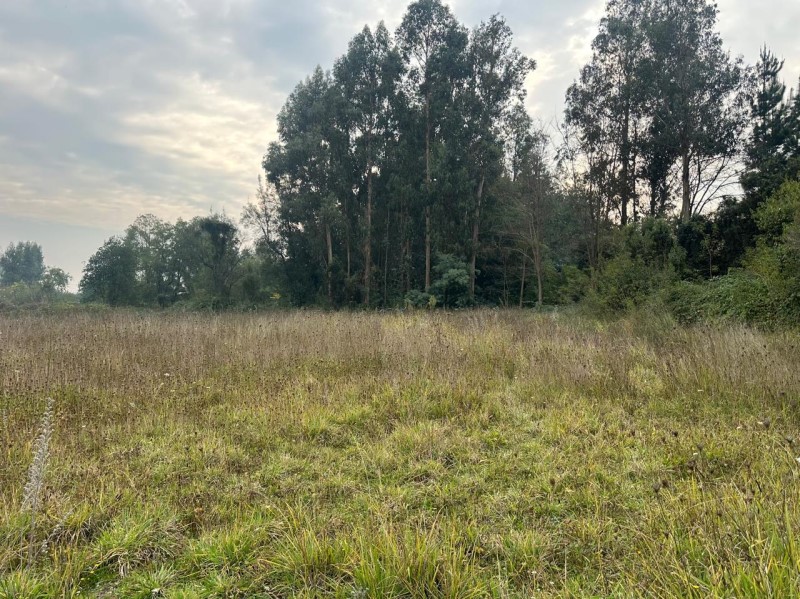 Imagen de Venta Parcela en Colbún - MAULE SUR - 50 m² - 2D - 1B (Cod. 39357)