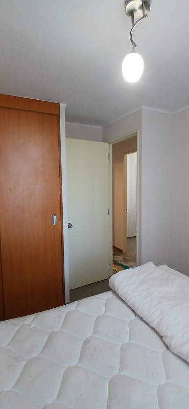 Miniatura 21