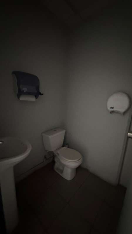 Miniatura 12