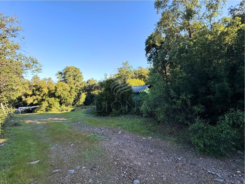 Imagen de Venta Parcela en Paine - SECTOR ACULEO - 5000 m² (Cod. 39793)