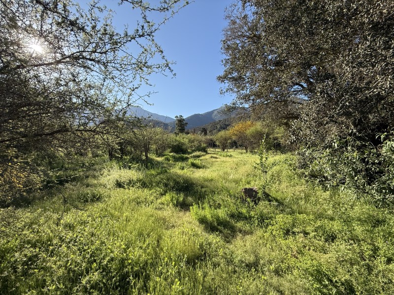 Imagen de Venta Parcela en Paine - ACULEO - 8000 m² (Cod. 39794)