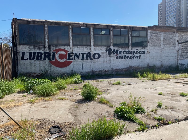 Miniatura 7