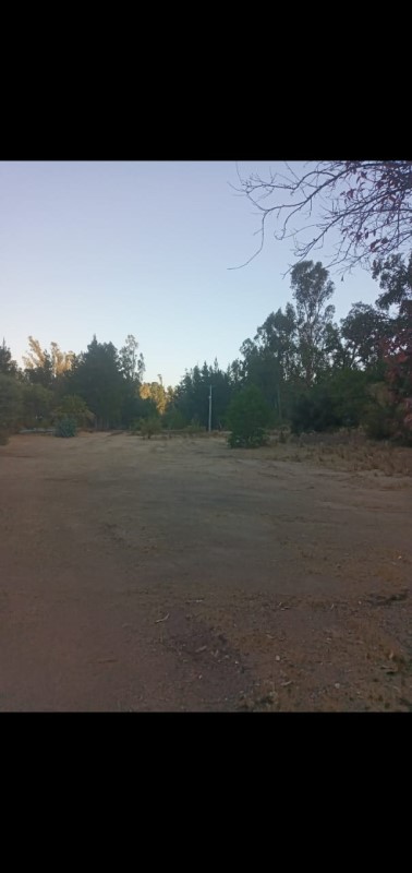 Imagen de Venta Parcela en Casablanca - ENTRE CASABLANCA Y CURACAVI - 65000 m² - 3D - 1B (Cod. 39820)